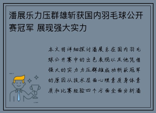 潘展乐力压群雄斩获国内羽毛球公开赛冠军 展现强大实力