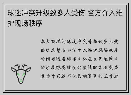 球迷冲突升级致多人受伤 警方介入维护现场秩序