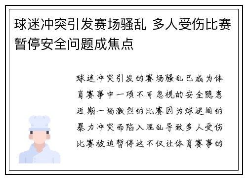 球迷冲突引发赛场骚乱 多人受伤比赛暂停安全问题成焦点