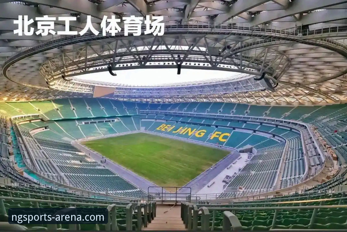 NG体育应用下载对比详解——多维度分析助你选择最佳版本